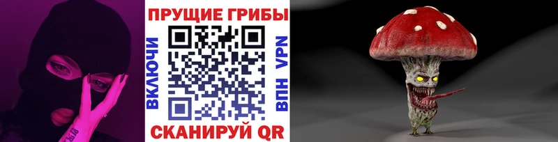 Псилоцибиновые грибы мухоморы Северо-Курильск