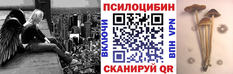 Псилоцибиновые грибы мицелий  Купить где  Северо-Курильск 